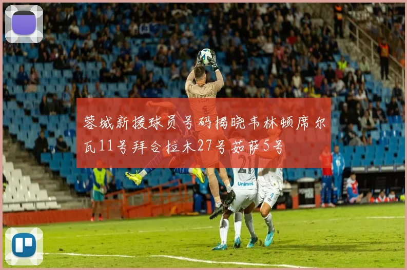 蓉城新援球员号码揭晓韦林顿席尔瓦11号拜合拉木27号茹萨5号