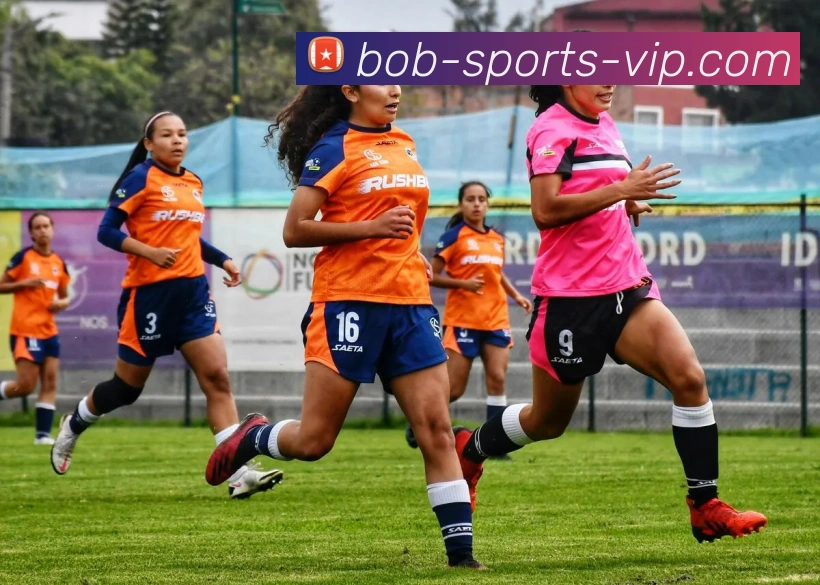 BOB体育平台生态图