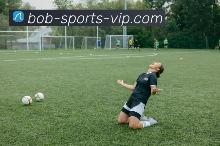 BOB体育APP 封面图